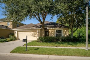 5555 SHASTA DAISY PLACE, LAND O LAKES, FL 34639 Sold 10/20/23