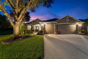 1433 EMERALD HILL WAY, VALRICO, FL 33594 Sold 10/31/23