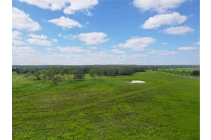 16939 OWENS ROAD, WIMAUMA, FL 33598 Sold 01/24/25