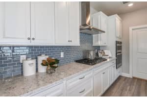 5090 CARAVEL POINT, LAND O LAKES, FL 34638 Sold 12/15/23