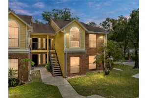 8603 FANCY FINCH DRIVE, TAMPA, FL 33614 Sold 10/16/23