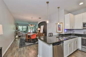 11738 CROWNED SPARROW LANE, TAMPA, FL 33626 Sold 12/07/23
