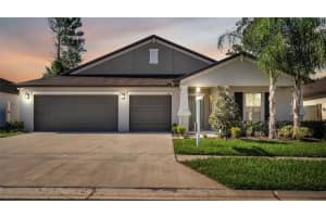 905 TIMELESS MOSS DRIVE, RUSKIN, FL 33570 Sold 03/19/24