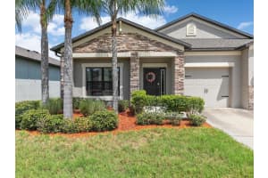 11450 AMAPOLA BLOOM COURT, RIVERVIEW, FL 33579 Sold 10/16/23