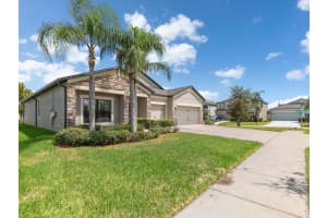 11450 AMAPOLA BLOOM COURT, RIVERVIEW, FL 33579 Sold 10/16/23
