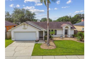 11537 WELLMAN DRIVE, RIVERVIEW, FL 33578 Sold 11/30/23