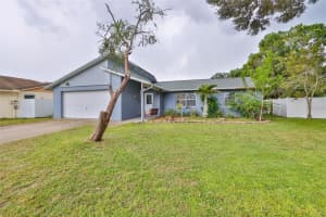 6516 SECREST COURT, TAMPA, FL 33625 Sold 11/07/23