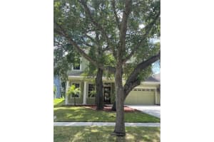 6310 SEA LAVENDER LANE, TAMPA, FL 33625 Sold 03/07/24