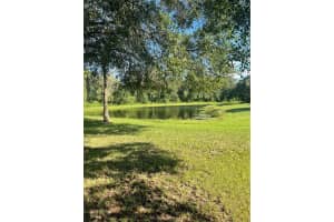 6310 SEA LAVENDER LANE, TAMPA, FL 33625 Sold 03/07/24