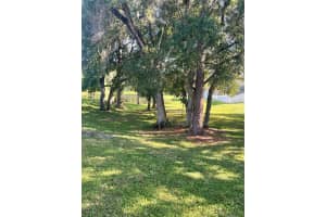 6310 SEA LAVENDER LANE, TAMPA, FL 33625 Sold 03/07/24