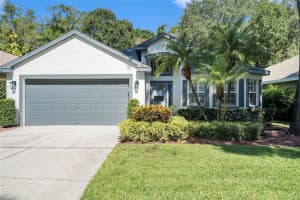 9131 CLIFF LAKE LANE, TAMPA, FL 33614 Sold 10/27/23
