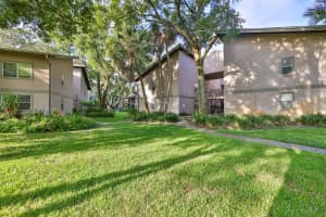 4207 WINDING MOSS TRAIL, TAMPA, FL 33613 Sold 10/27/23