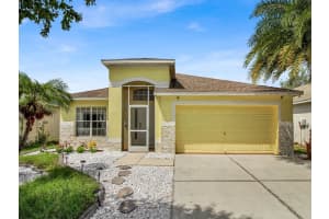 10036 CREEK BLUFF DRIVE, RIVERVIEW, FL 33578 Sold 12/15/23