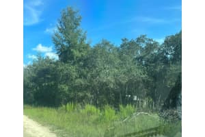 23-12-17 OAK RIDGE ESTATES BLK 8 LOT 27, WILLISTON, FL 32696 - MLS#MFRT3474035