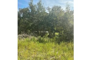 23-12-17 OAK RIDGE ESTATES BLK 8 LOT 27, WILLISTON, FL 32696 - MLS#MFRT3474035