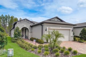 19467 SHIP WHEEL WAY, LAND O LAKES, FL 34638 Sold 02/21/24