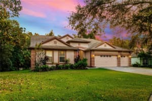 12532 RIVER BIRCH DRIVE, RIVERVIEW, FL 33569 Sold 02/15/24