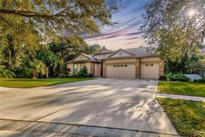 12532 RIVER BIRCH DRIVE, RIVERVIEW, FL 33569 Sold 02/15/24
