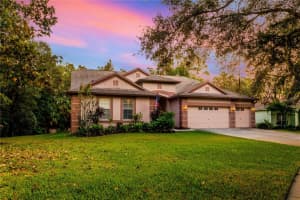 12532 RIVER BIRCH DRIVE, RIVERVIEW, FL 33569 Sold 02/15/24