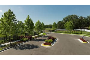 7520 ASHBROOKE PINE LOOP, ODESSA, FL 33556 Sold 12/28/23