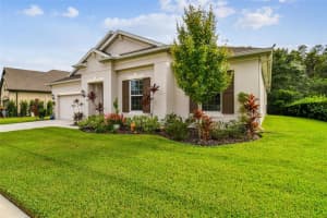 30236 FIVE FARMS AVENUE, WESLEY CHAPEL, FL 33543 Sold 02/21/24