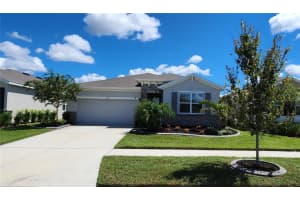13233 WATERLEAF GARDEN CIRCLE, RIVERVIEW, FL 33579 Sold 11/14/23