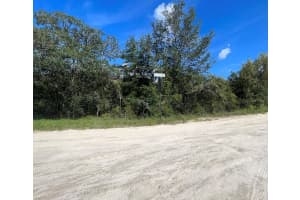 23-12-17 OAK RIDGE ESTATES BLK 27 LOT 1, WILLISTON, FL 32696 - MLS#MFRT3474649