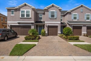 18641 NOBLE CASPIAN DRIVE, LUTZ, FL 33558 Sold 11/13/23
