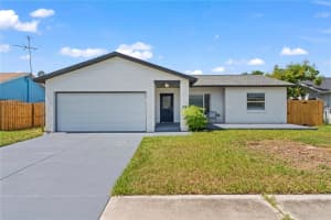 4317 SWALLOWTAIL DRIVE, NEW PORT RICHEY, FL 34653 Sold 02/29/24