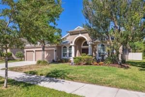 20324 NATURES CORNER DRIVE, TAMPA, FL 33647 Sold 01/19/24