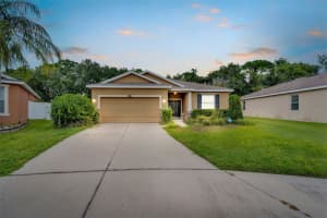 2825 HOLLY BLUFF COURT, PLANT CITY, FL 33566 Sold 11/03/23