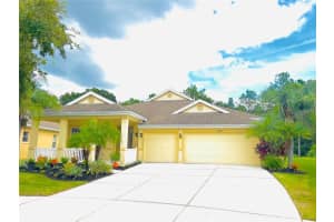 20027 OAKFLOWER AVENUE, TAMPA, FL 33647 Sold 01/10/24