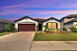11908 BAHIA VALLEY DRIVE, RIVERVIEW, FL 33579 Sold 11/20/23