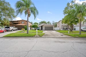 1623 GRAY BARK DRIVE, OLDSMAR, FL 34677 Sold 12/02/23