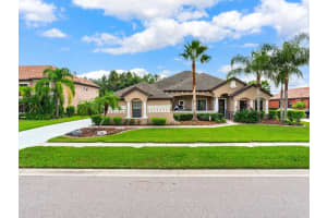 3814 IVYDALE COURT, LAND O LAKES, FL 34638 Sold 11/20/23