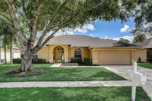 4838 BASSWOOD STREET, LAND O LAKES, FL 34639 Sold 03/05/24