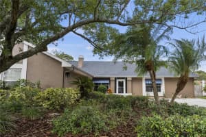16602 MANDY LANE, TAMPA, FL 33618 Sold 05/31/24