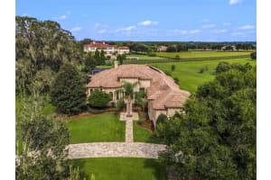 10617 LOW OAK TERRACE, THONOTOSASSA, FL 33592 Sold 12/07/23