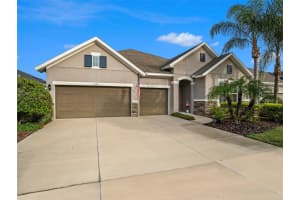 1034 TRACEY ANN LOOP, SEFFNER, FL 33584 Sold 02/20/24