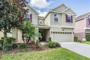 19240 EARLY VIOLET DRIVE, TAMPA, FL 33647 Sold 02/01/24