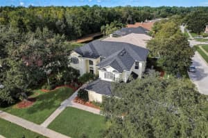 4158 AUSTON WAY, PALM HARBOR, FL 34685 Sold 03/22/24