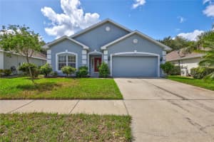 6043 DESERT PEACE AVENUE, LAND O LAKES, FL 34639 Sold 11/20/23