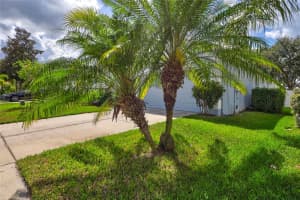6043 DESERT PEACE AVENUE, LAND O LAKES, FL 34639 Sold 11/20/23
