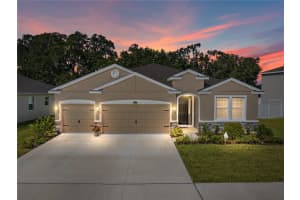 6615 COBBLE BLISS STREET, ZEPHYRHILLS, FL 33541 Sold 12/15/23