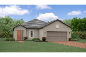 12724 Tahitian Pearl Cir, PARRISH