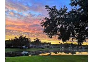 17907 ARBOR GREENE DRIVE, TAMPA, FL 33647 Sold 01/16/24