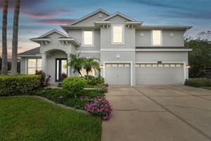 21354 MARSH HAWK DRIVE, LAND O LAKES, FL 34638 Sold 11/15/23