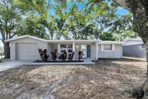 7226 MAGNOLIA VALLEY DRIVE, NEW PORT RICHEY, FL 34653 Sold 12/07/23