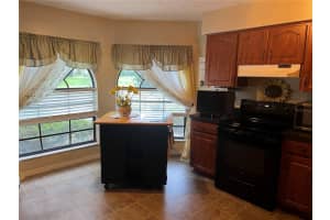 23241 SHINING STAR DRIVE, LAND O LAKES, FL 34639 Sold 01/31/24