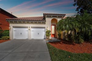 8232 DUNHAM STATION DRIVE, TAMPA, FL 33647 Sold 03/07/24